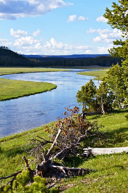 Zdjęcie rzeka yellowstone