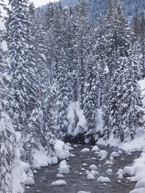 Rzeka zakrywająca śniegiem blisko Granitowych Gorących źródeł, Jackson Hole, WY.