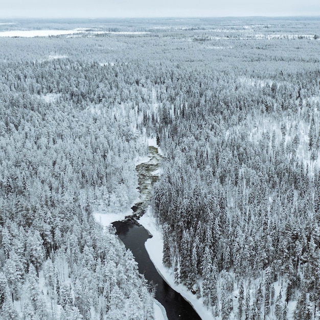 Rzeka Zimą W Parku Narodowym Oulanka W Finlandii.