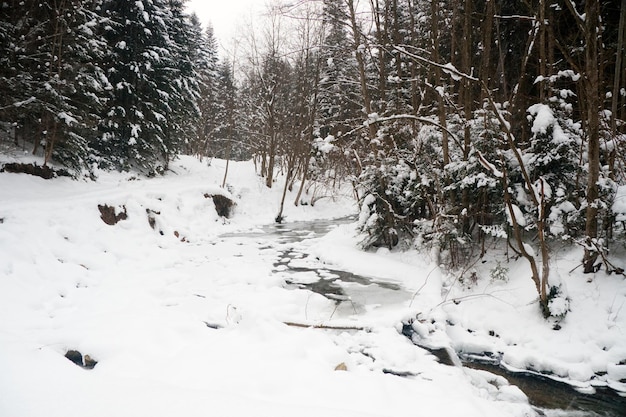 Rzeki zimą ze śniegiem i lodem
