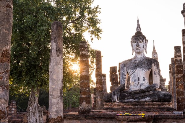 Rzeźbi trwanie Buddha wizerunek Wat Mahathat w parku narodowym Sukhothai w Tajlandia przy zmierzchem.