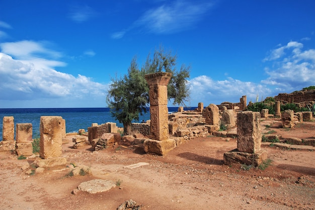 Rzymskie ruiny kamienia i piasku w Algierii