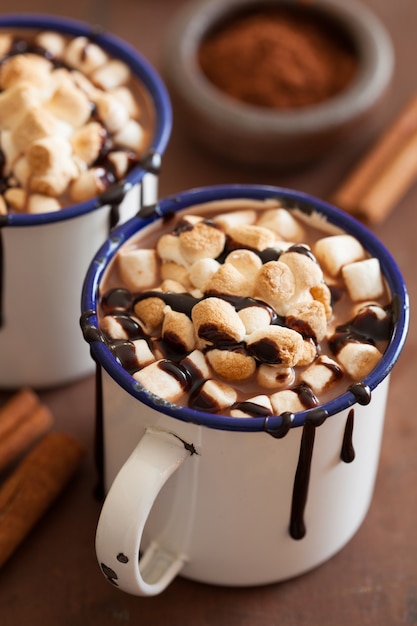 S'mores gorąca czekolada mini marshmallows cynamonowy zimowy napój