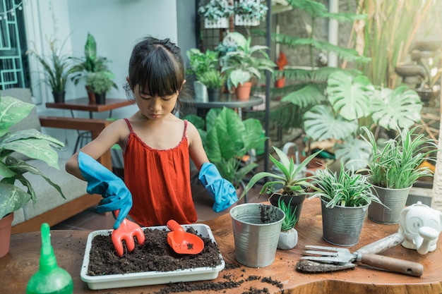 Sadzenie dzieci i ogrodnictwo w domu