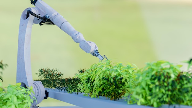 Sadzenie ramienia robota w gospodarstwie warzywnym w szklarni