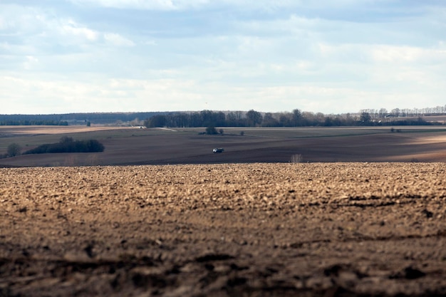 Sadzenie zbóż