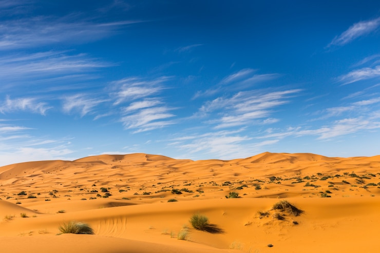Zdjęcie sahara, maroko