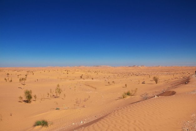 Sahara w sercu Afryki