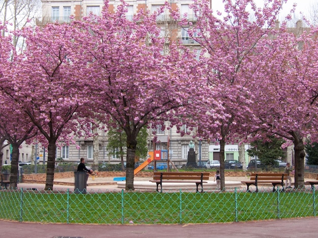 Zdjęcie saintetienneloirefrance