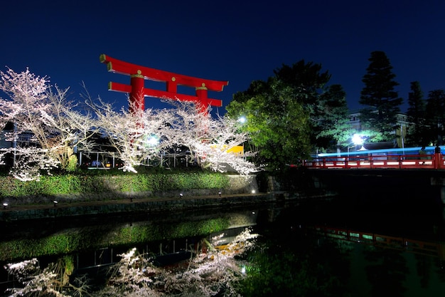 Zdjęcie sakura i torii w nocy