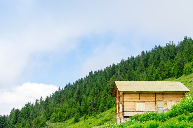 Sal Plateau Rize Camlihemsin Turcja