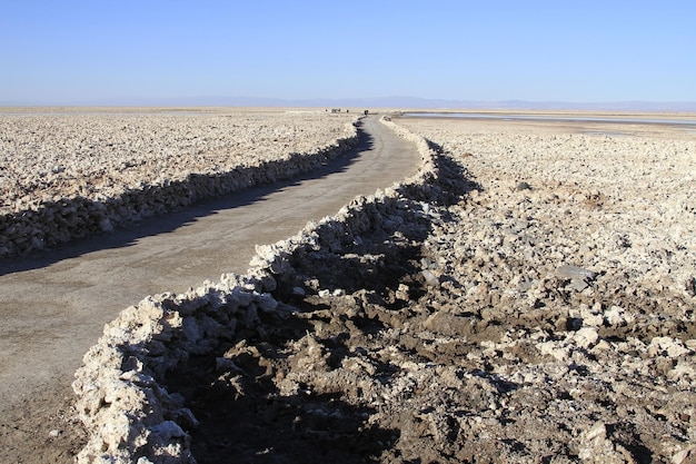 Salar de Atacma Chile