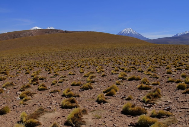 Salar De Atacma Chile