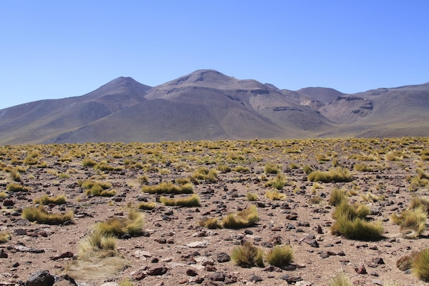 Salar de Atacma Chile