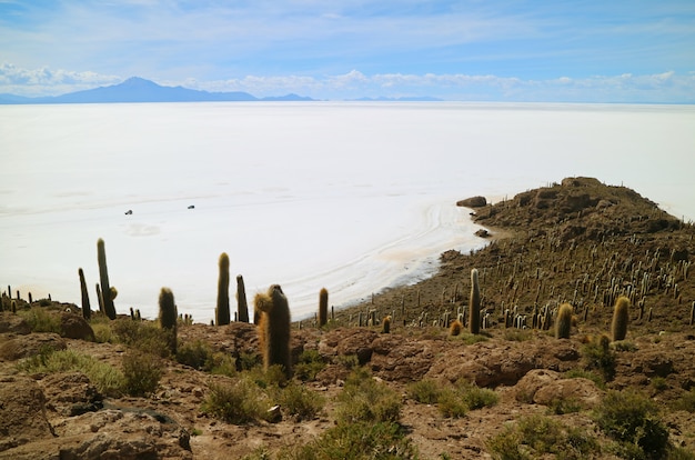 Salar de Uyuni, największy na świecie widok na sól z Isla Incahuasi