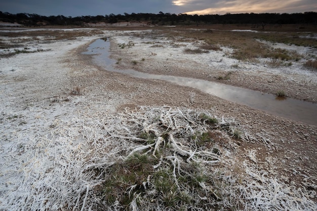 Zdjęcie saletra na podłodze w słonej lagunie la pampa w prowincji patagonia argentina