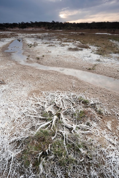 Salpetra na dnie laguny w środowisku półpustynnym prowincja La Pampa Patagonia Argentyna