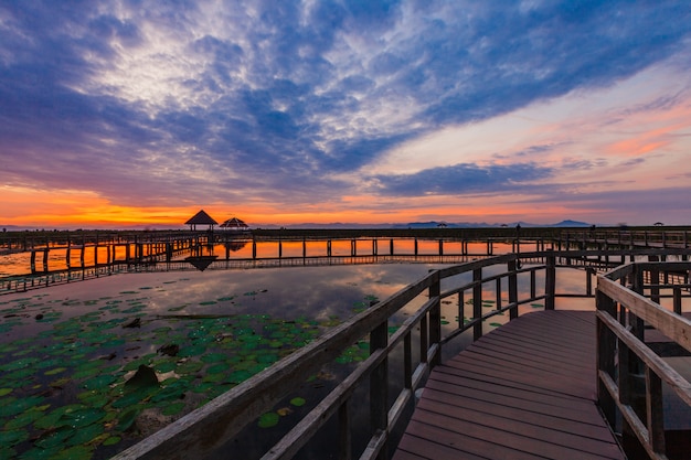 Sam Roi Yot Freshwater Marsh