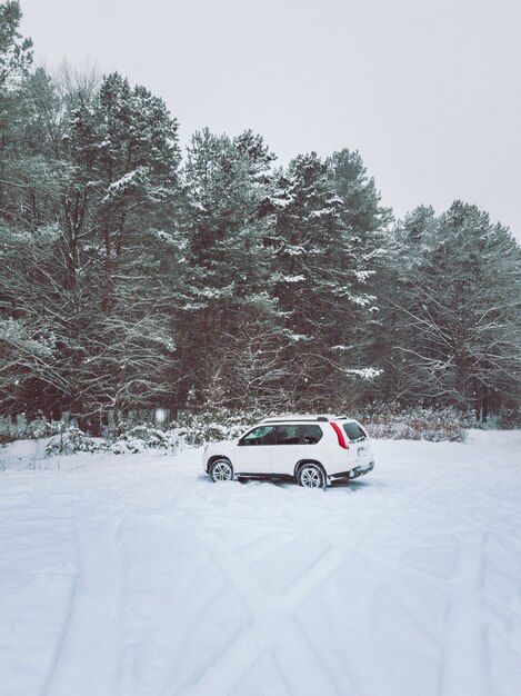 Samochód suv w środku zaśnieżonej przestrzeni kopii lasu