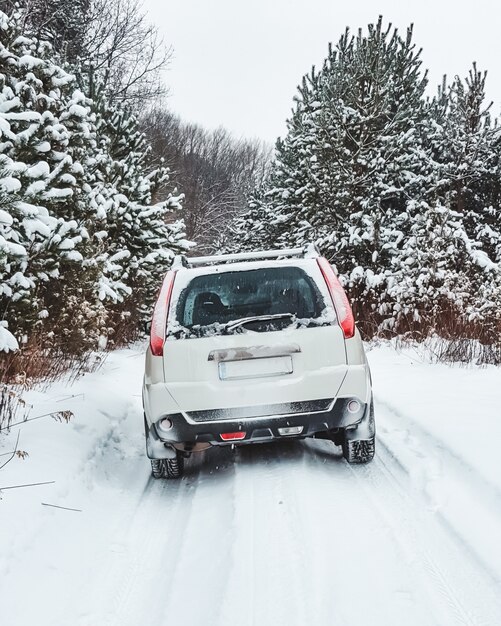 Samochód suv w zaśnieżonej przestrzeni kopii lasu