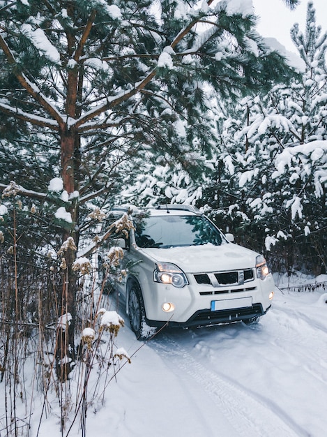 Samochód suv w zaśnieżonej przestrzeni kopii lasu