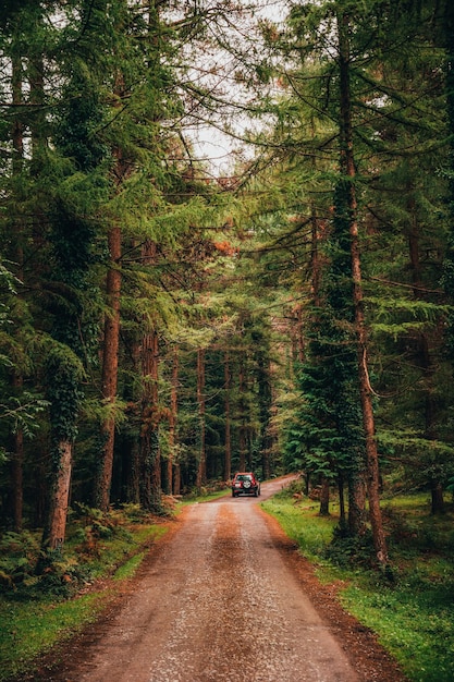 Zdjęcie samochód terenowy poruszający się po polnej drodze przez bujny las wyprawy 4x4 w naturze i koncepcji podróży przygodowych