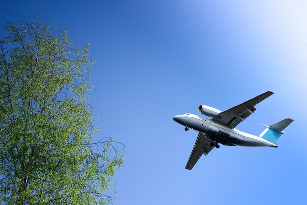 Samolot na tle błękitnego nieba w słoneczny dzień Gałęzie kremowych drzew z zielonymi liśćmi