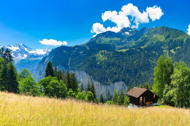 Samotny dom w Alpach Szwajcarskich, Oberland Berneński, Szwajcaria.