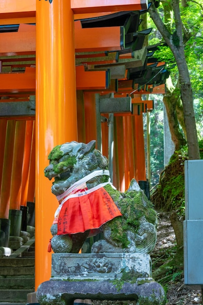 Zdjęcie sanktuarium tysiąca bram torii sanktuarium fushimi inari słynie z tysięcy robaków