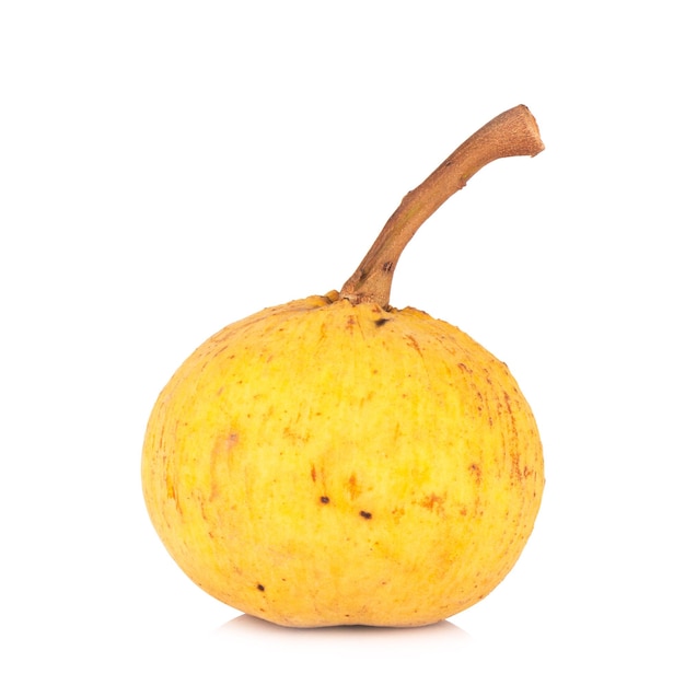 Santol na białym tle