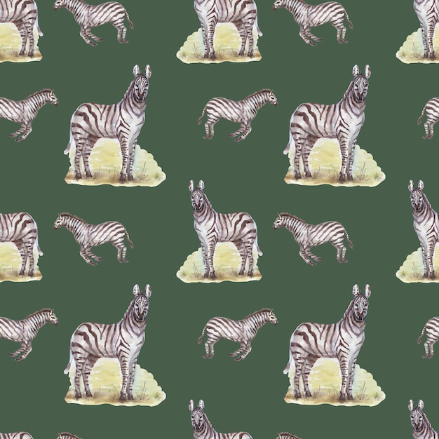 Savannah afryka zebra żyrafa safari zwierzęta akwarela ręcznie rysowane ilustracja