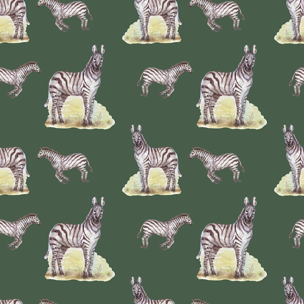 Savannah Afryka Zebra żyrafa Safari Zwierzęta Akwarela Ręcznie Rysowane Ilustracja