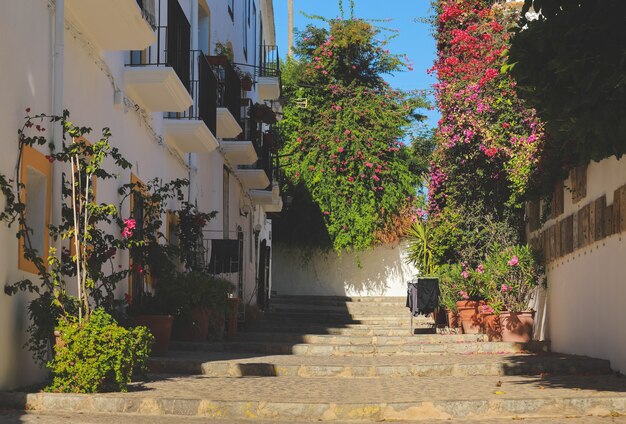 Scena uliczna i kolorowe bugenwille na starym mieście Ibiza Town