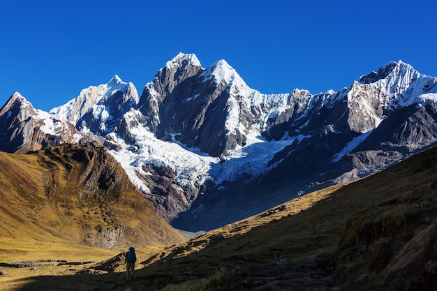 Scena wędrówki w górach Cordillera, Peru