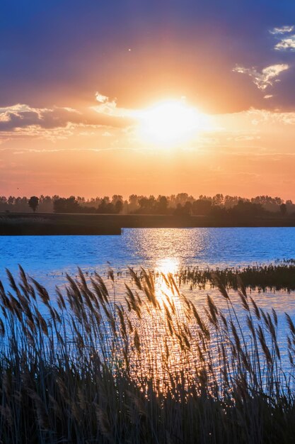 Scena zachodu słońca nad powierzchnią jeziora