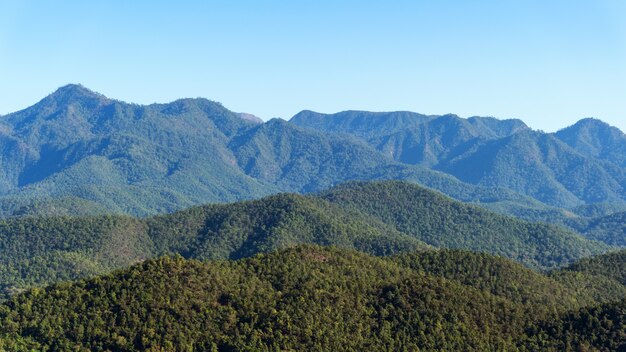 Sceneria Gór W Tropikalnym Lesie Deszczowym Obfita Natura W Asia Thailand Widok Z Lotu Ptaka Drone Strzał.