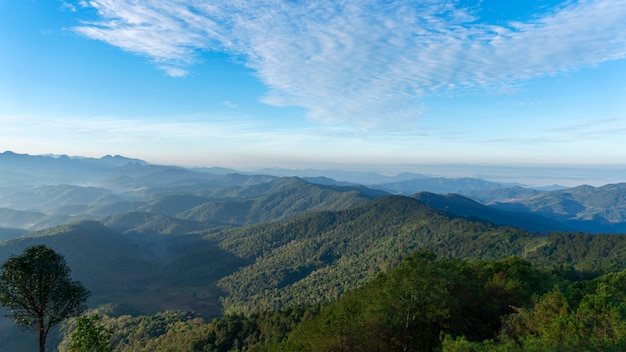 Sceneria Gór W Tropikalnym Lesie Deszczowym Obfita Natura W Asia Thailand