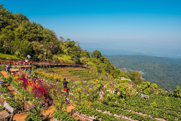 Zdjęcie scenic point at doi mon jam chiang mai