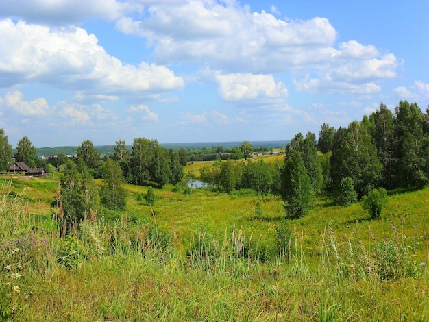 Zdjęcie sceniczny widok drzew na polu na tle nieba