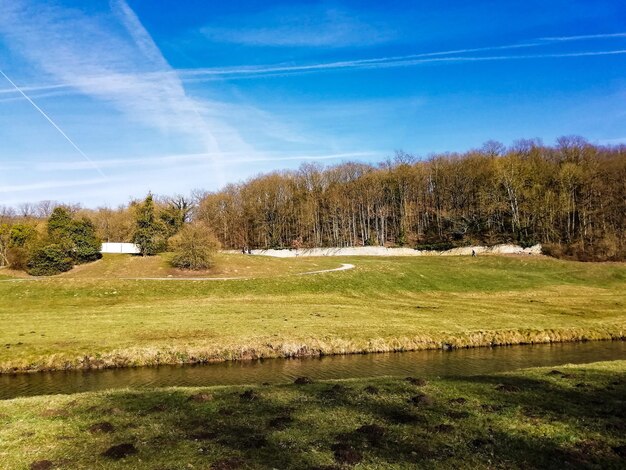 Zdjęcie sceniczny widok drzew na polu na tle nieba