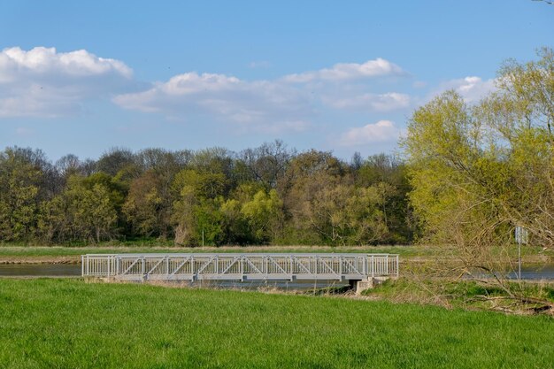 Zdjęcie sceniczny widok drzew na polu na tle nieba