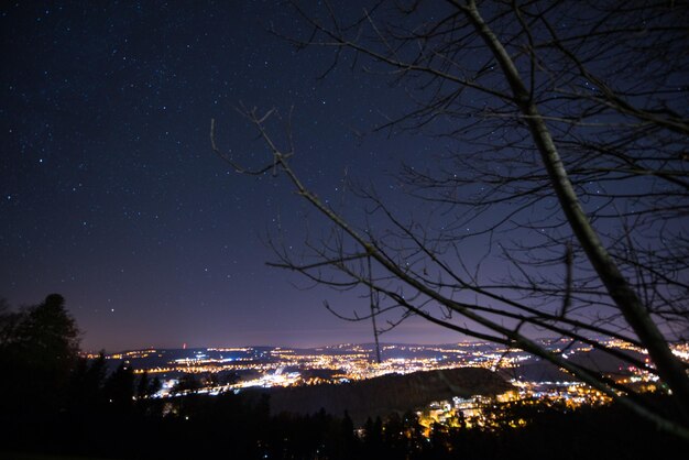 Zdjęcie sceniczny widok gołej gałęzi drzewa na tle nieba