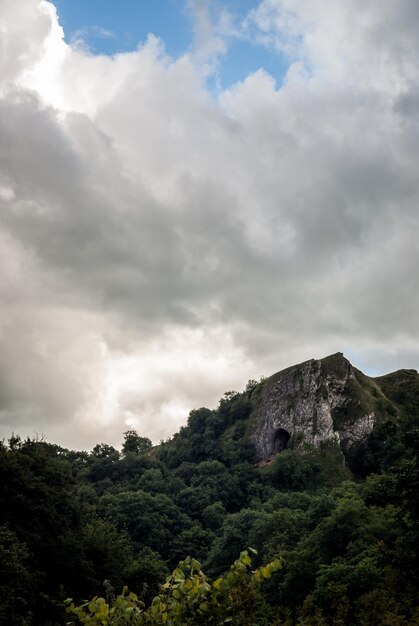 Zdjęcie sceniczny widok gór drzew na tle nieba