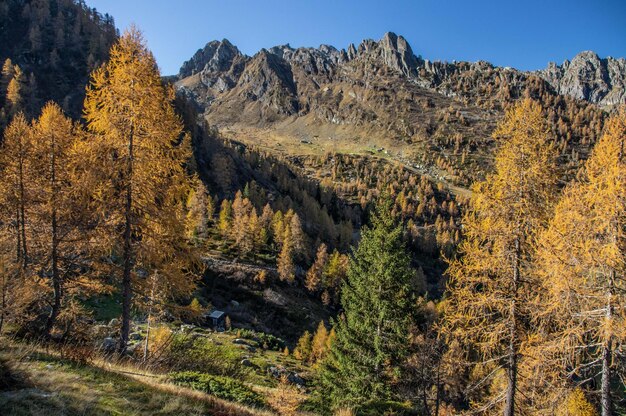 Zdjęcie sceniczny widok gór na tle nieba jesienią