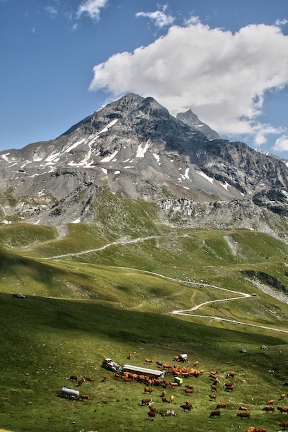 Zdjęcie sceniczny widok gór na tle nieba