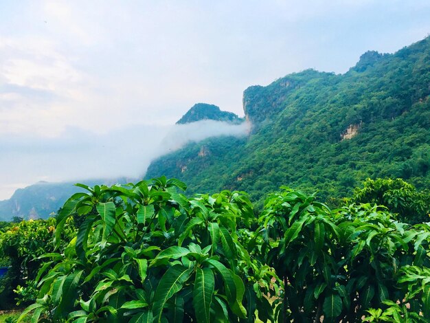 Zdjęcie sceniczny widok gór na tle nieba