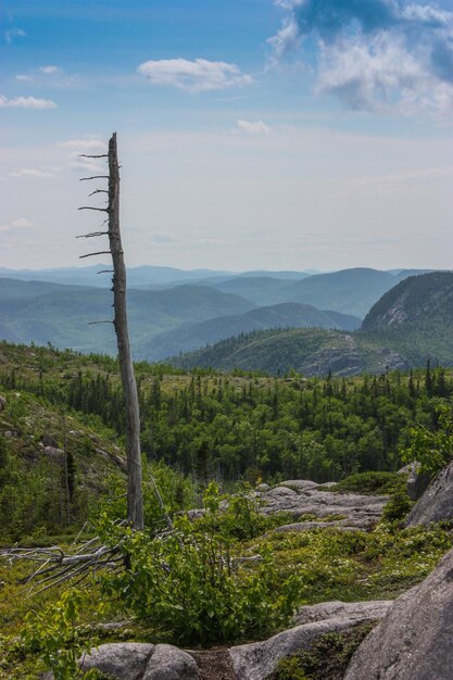 Zdjęcie sceniczny widok gór na tle nieba