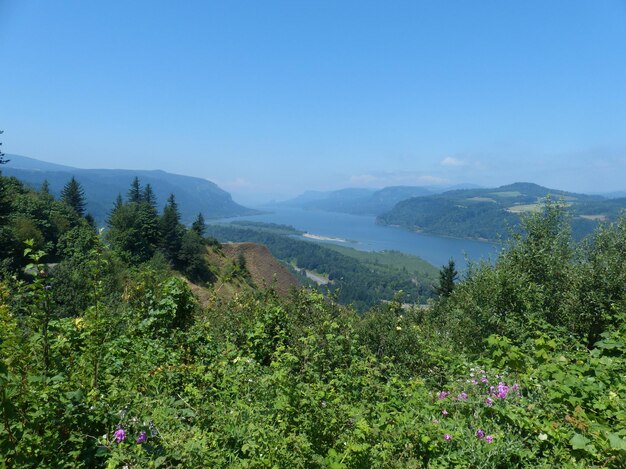 Zdjęcie sceniczny widok gór na tle nieba