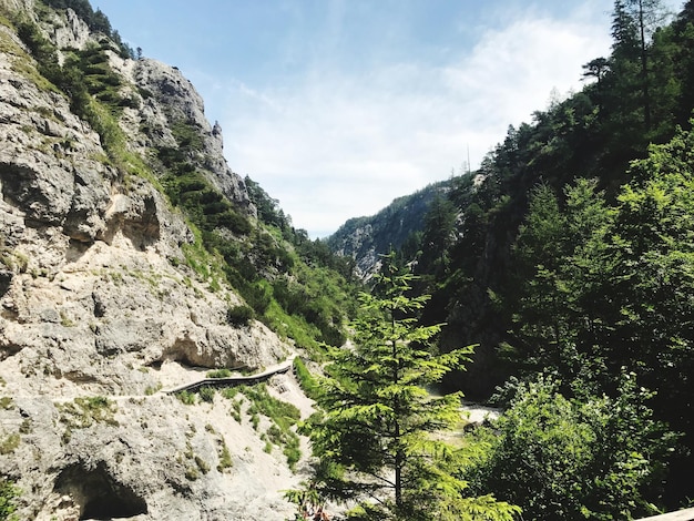 Zdjęcie sceniczny widok gór na tle nieba