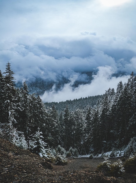 Sceniczny widok gór na tle nieba